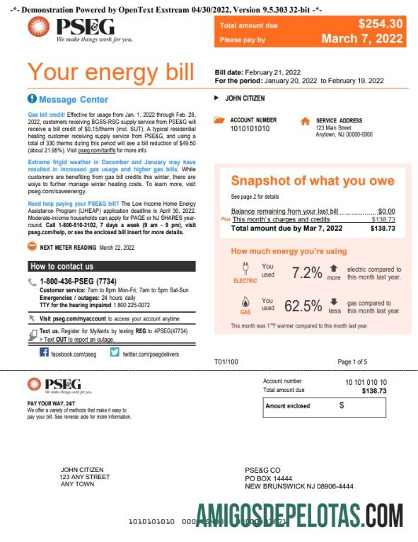 para download Conta de serviços públicos PSEG dos EUA, Nova York, modelo Word e PDF, 5 páginas 1